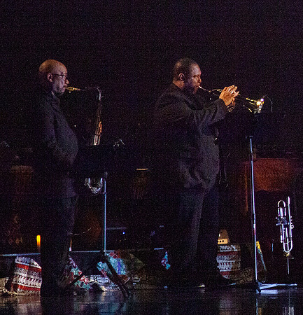 IMG_6931